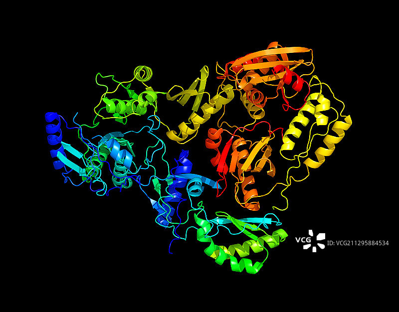 HIV逆转录酶图片素材