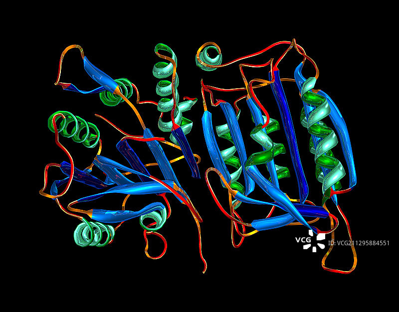 Caspase 9分子图片素材
