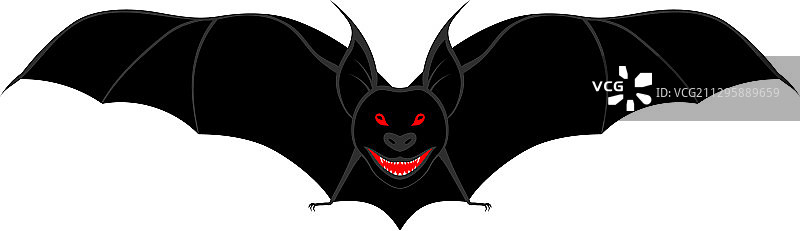 万圣节蝙蝠图片素材