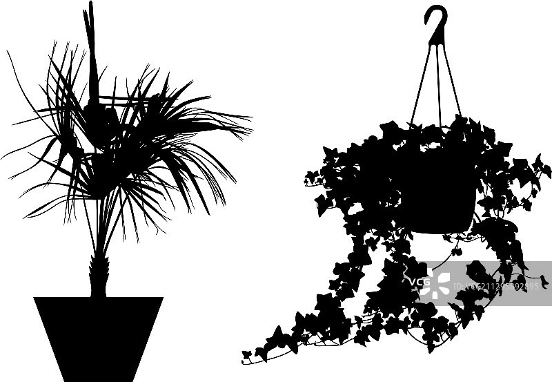 各种盆栽花卉图片素材