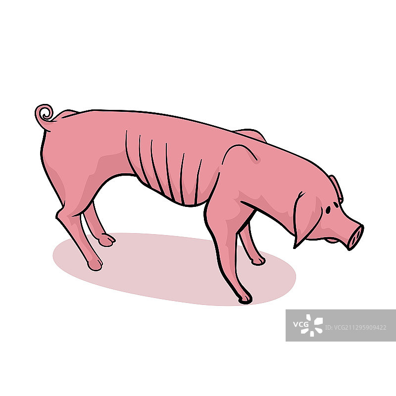 可爱的储蓄罐小猪图片素材