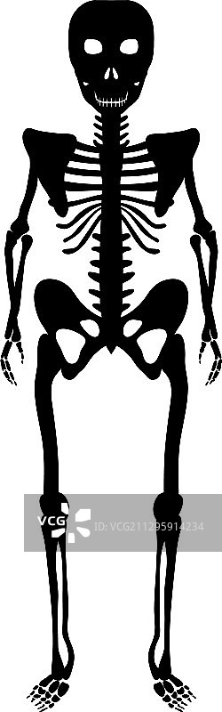 万圣节骷髅图片素材