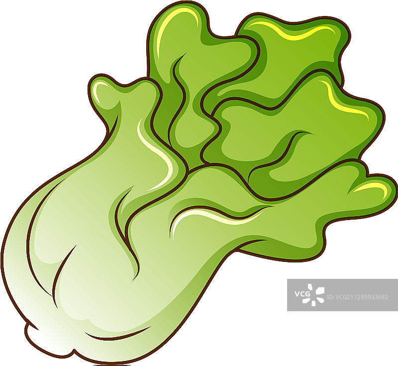 白色背景上的一颗绿色生菜图片素材