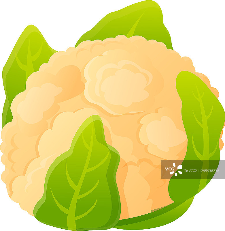 白色绿色卷心菜卡通风格图标图片素材