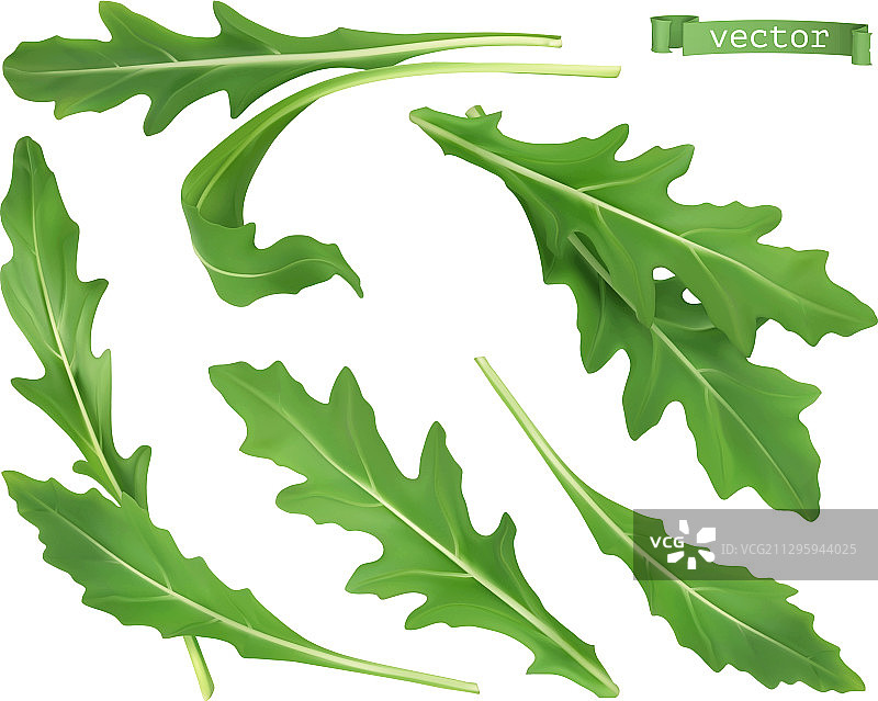 芝麻菜蔬菜沙拉3D模型图片素材