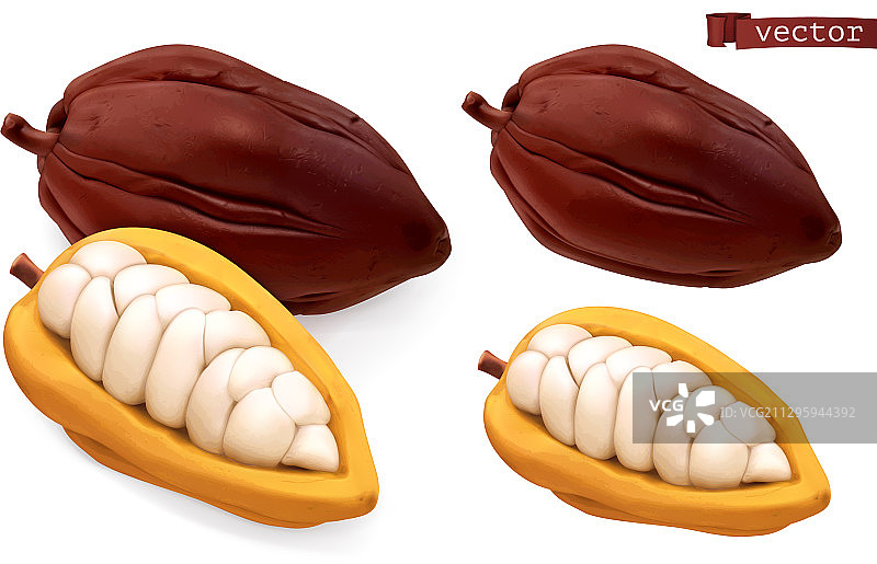 3D逼真可可豆荚图片素材