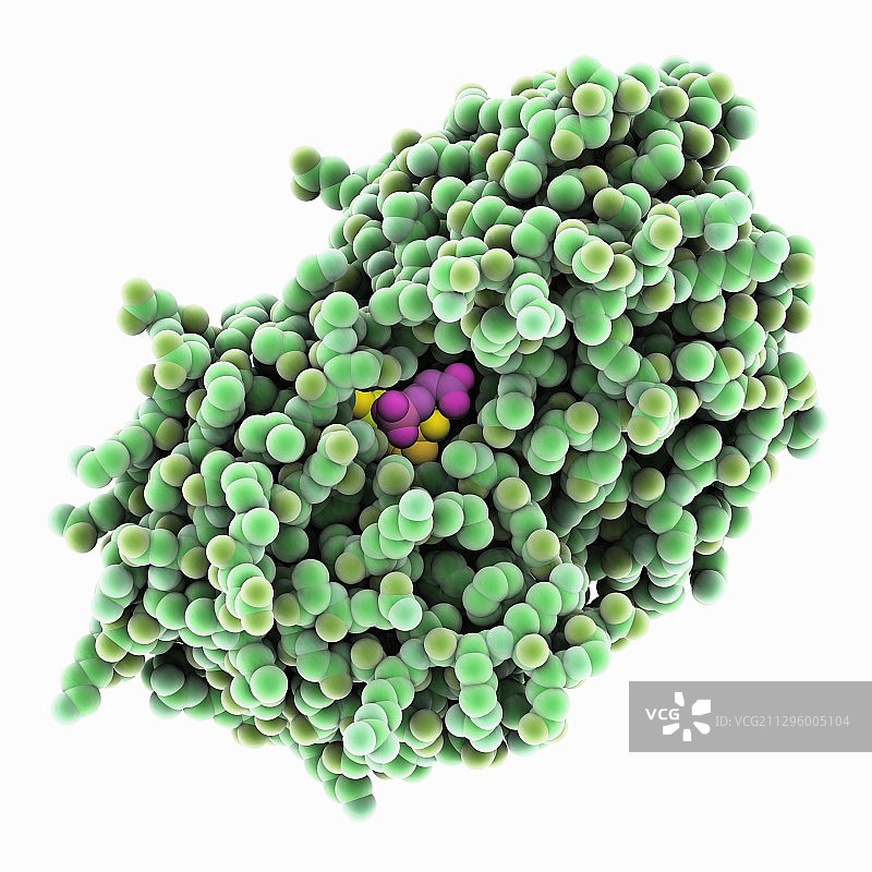 草甘膦合酶，分子模型图片素材
