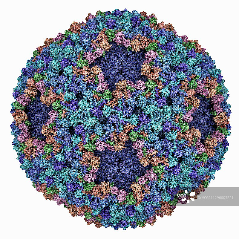 噬菌体Phi6衣壳分子模型图片素材