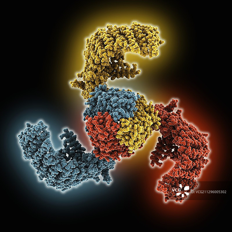 机械敏感Piezo1通道分子模型图片素材
