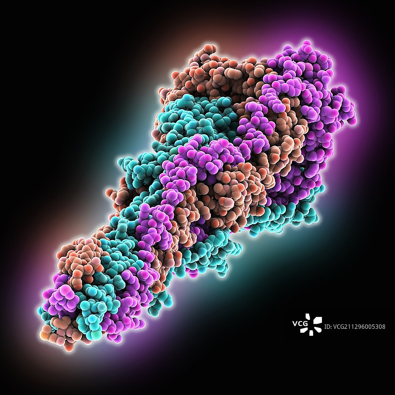 冠状病毒刺突糖蛋白分子模型图片素材