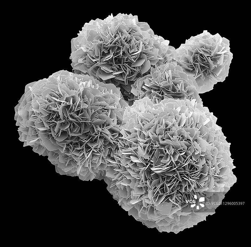 磷酸钠晶体扫描电镜图图片素材