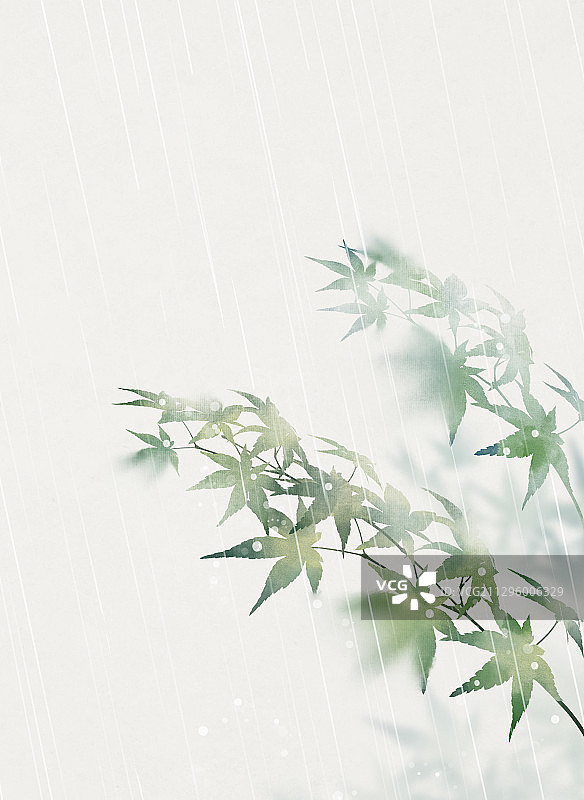 中国风雨季枫叶插画图片素材