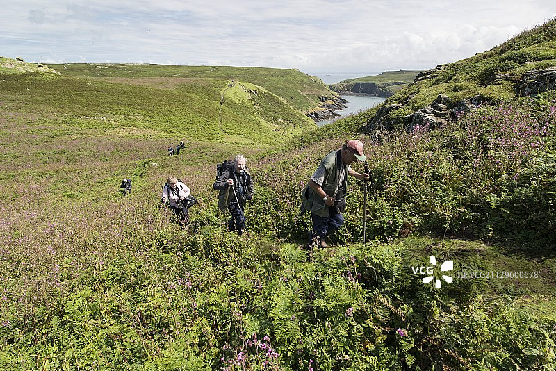 人们在英国威尔士斯库默岛的小路上行走图片素材