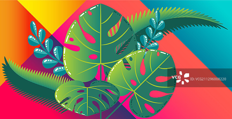 精美扁平风格热带树叶设计图片素材