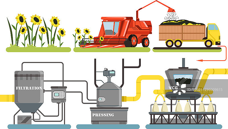葵花籽油生产过程及收割图片素材