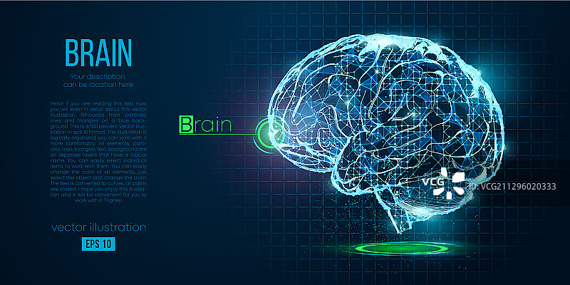 头部大脑抽象多边形轮廓图片素材