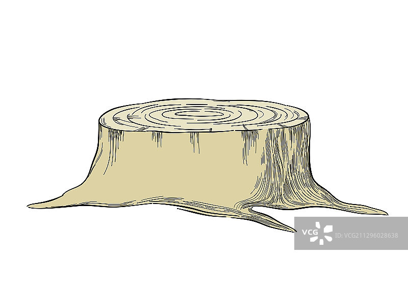 树桩竖纹图片素材