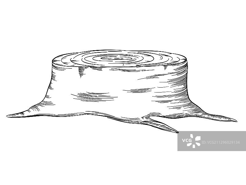 树桩横纹图片素材