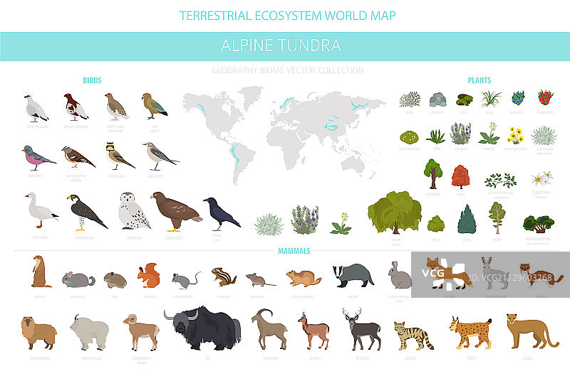 高山冻原生物群落自然区域信息图图片素材