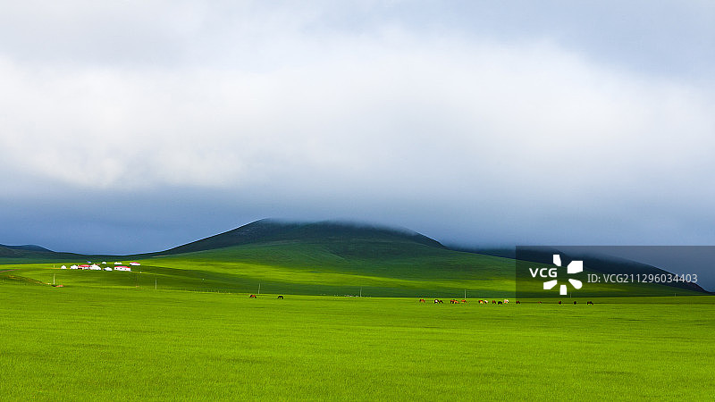 雨后的草原图片素材