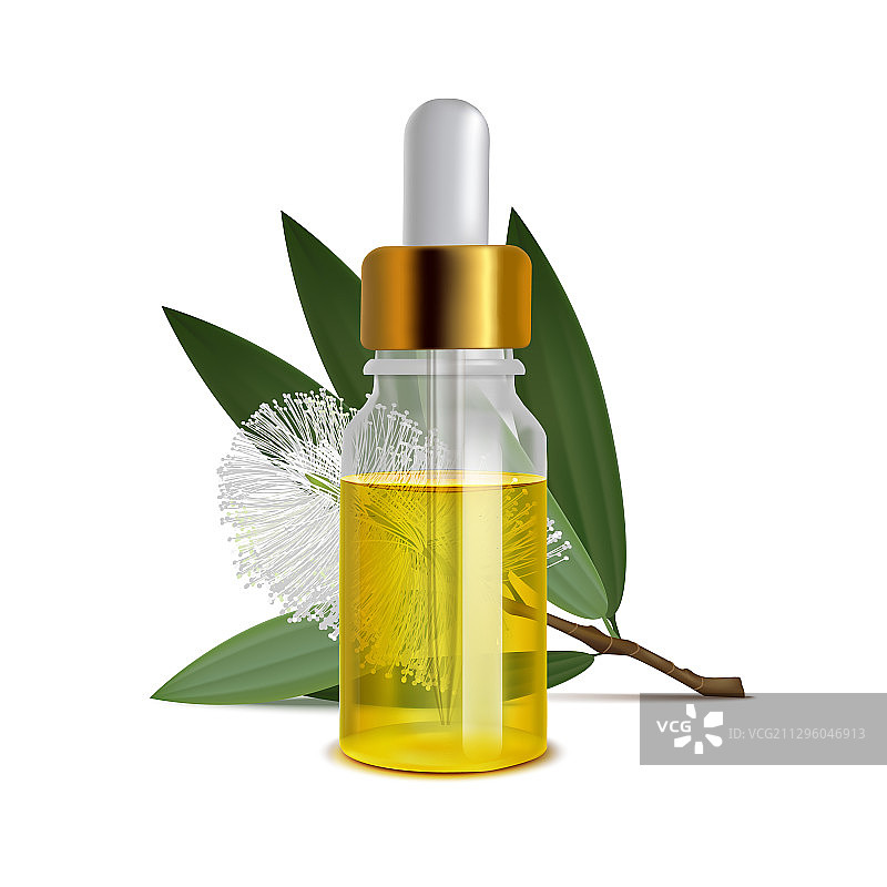 逼真风格的白千层精油瓶与树叶图片素材