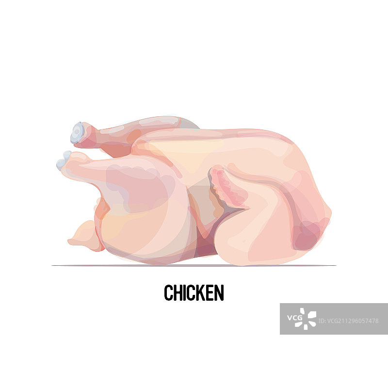 白色背景下的新鲜整鸡图片素材