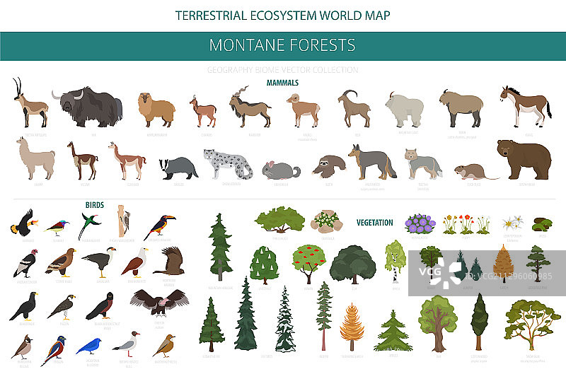 山地森林生物群落自然区域信息图图片素材
