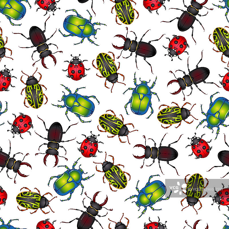 昆虫甲虫无缝图案图片素材