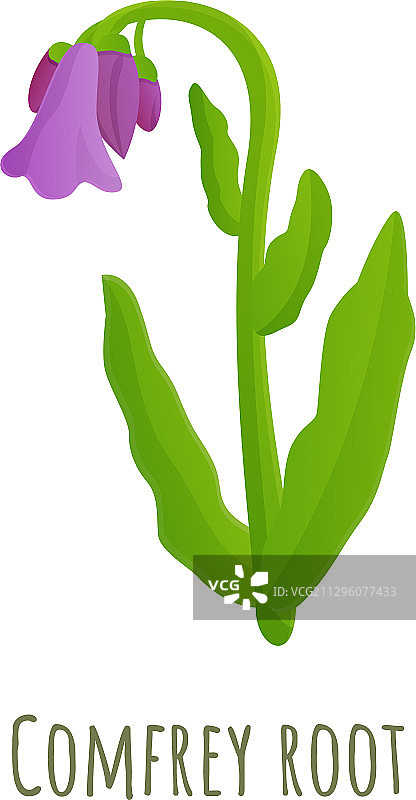 聚合草根卡通风格图标图片素材