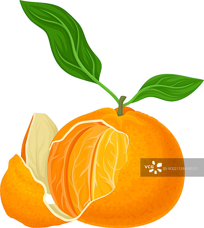 半个带绿叶的橘子或柑橘图片素材