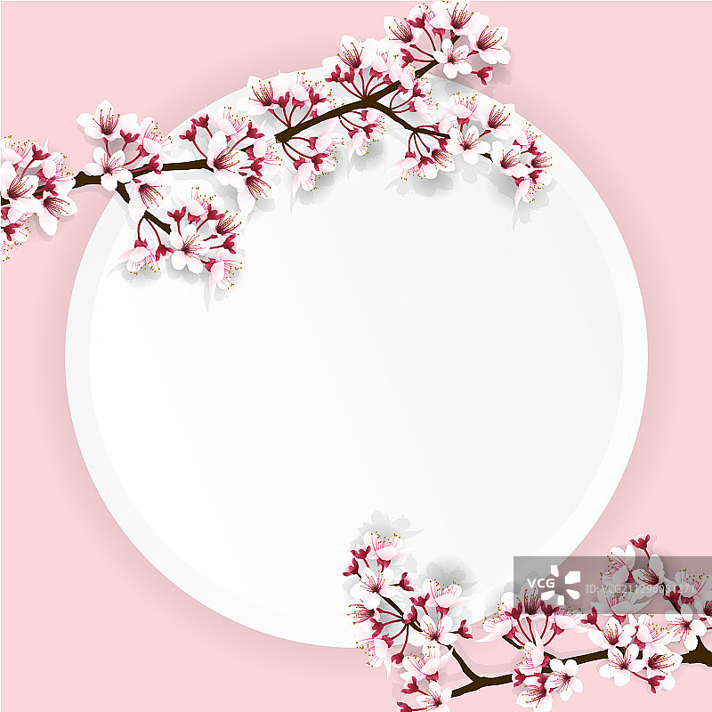 圆形纸上的樱花图片素材