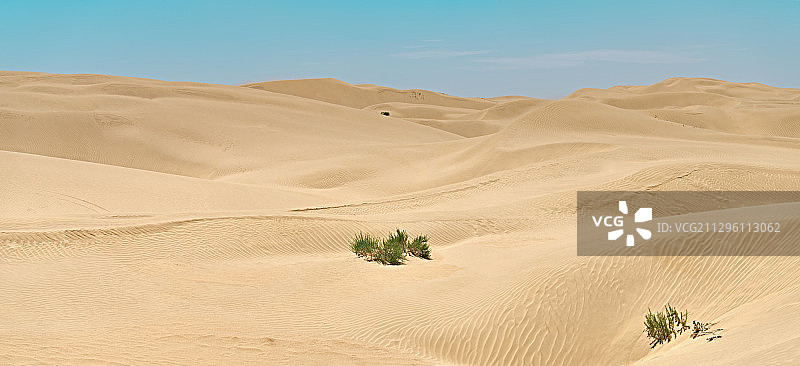 沙漠图片素材
