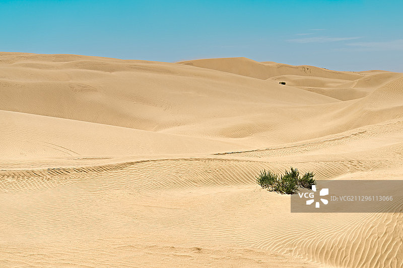 沙漠图片素材