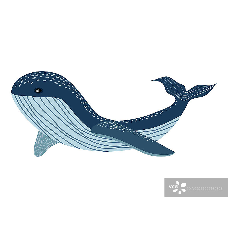 鲸鱼海洋哺乳动物精美海报图片素材