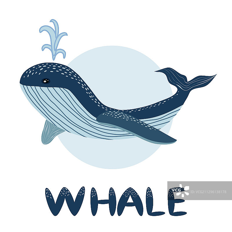 鲸鱼海洋哺乳动物精美海报图片素材