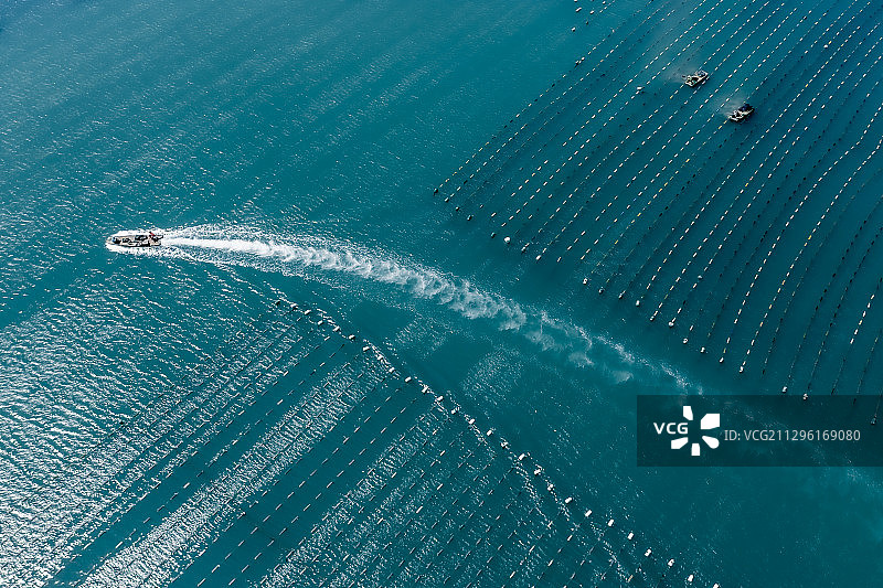 小船从海水养殖区中驶出，劈波斩浪，在海面上划出一道有力的弧线图片素材