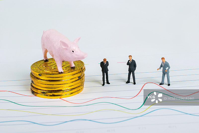 CPI居民消费价格指数猪肉价格上涨分析图片素材