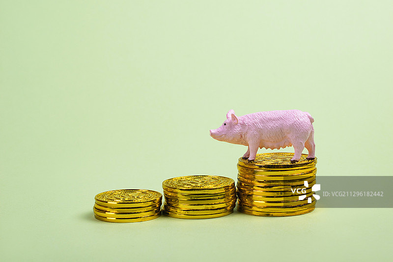 CPI居民消费价格指数猪肉价格上涨分析图片素材