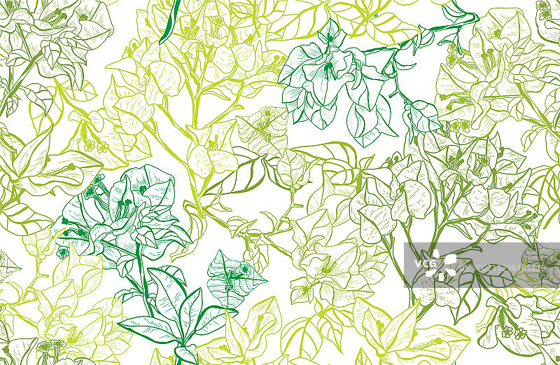 花卉无缝模式图片素材