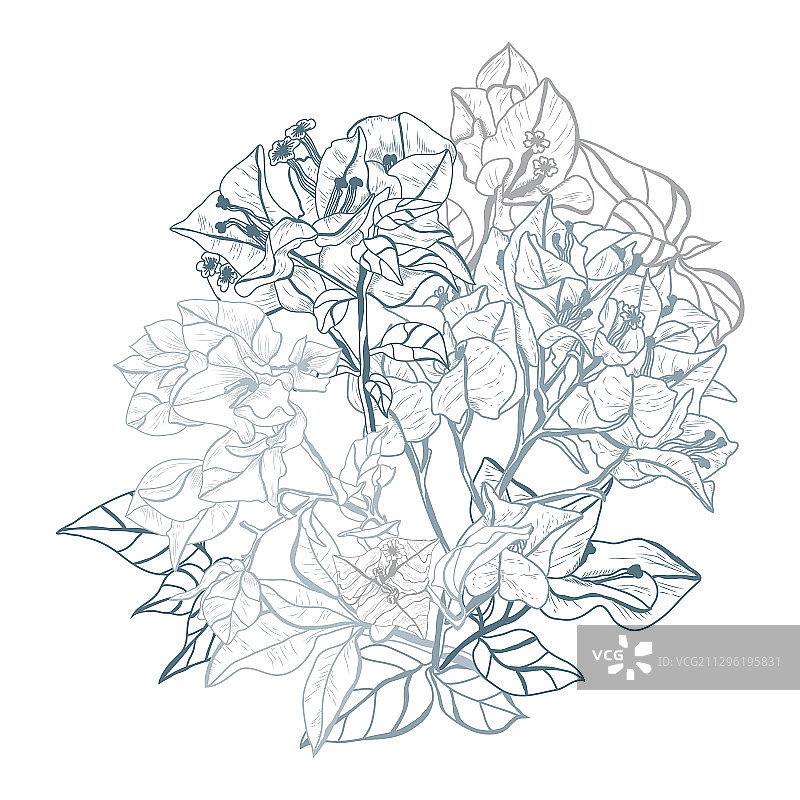 手绘花卉装饰图片素材