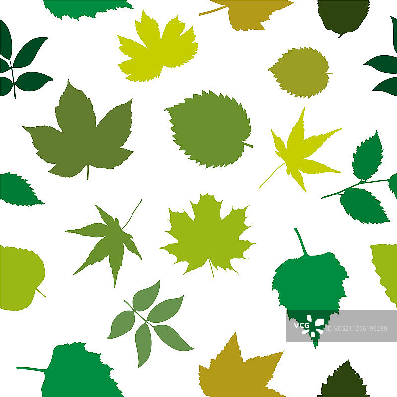 无缝图案与不同植物的叶子图片素材