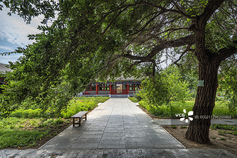 通辽孝庄故居达尔罕亲王府园区巨树图片素材