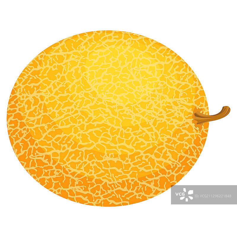 白色背景上的新鲜完整甜瓜图片素材