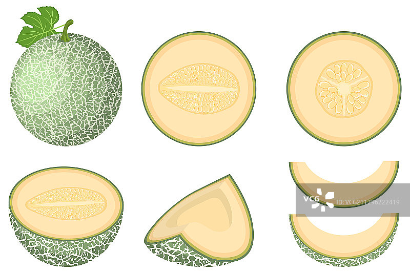 新鲜甜瓜切片水果套装图片素材