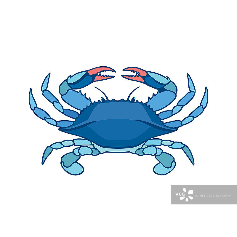 水彩风格的蓝色螃蟹图片素材