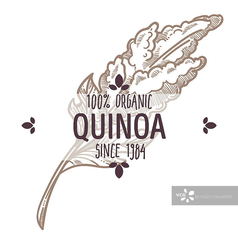 有机藜麦食品标志图片素材