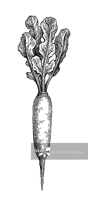 红色墨水素描图片素材