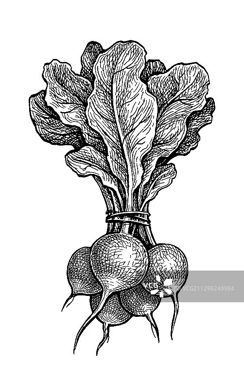 红色墨水素描图片素材