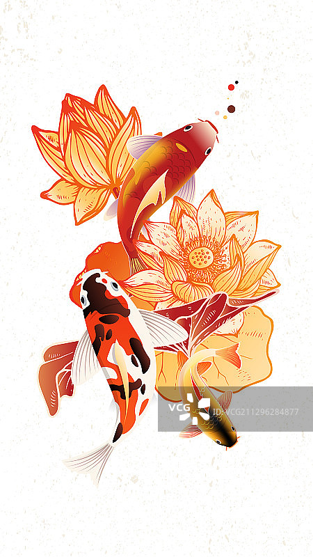 中国风锦鲤荷花图案插画图片素材
