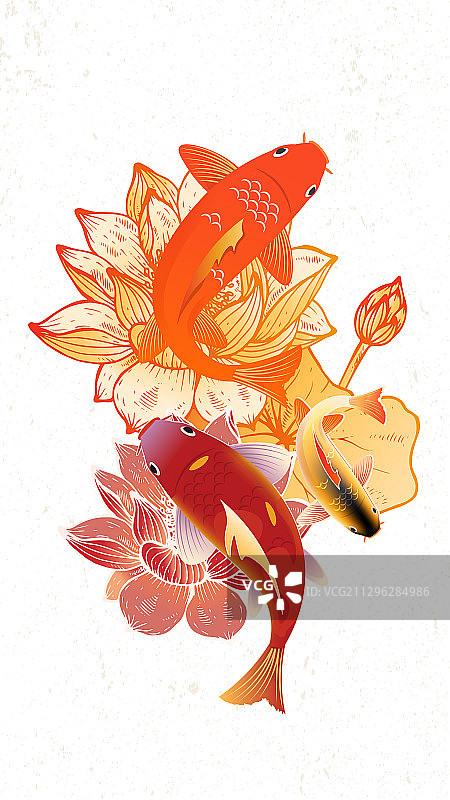 中国风锦鲤荷花图案插画图片素材